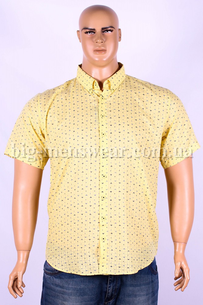 Мужская рубашка Armani